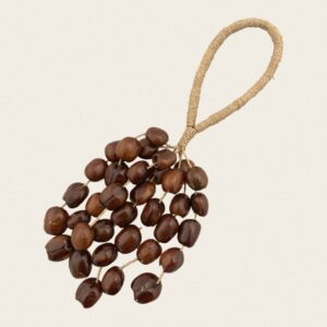 Sonajero de vainas marrón