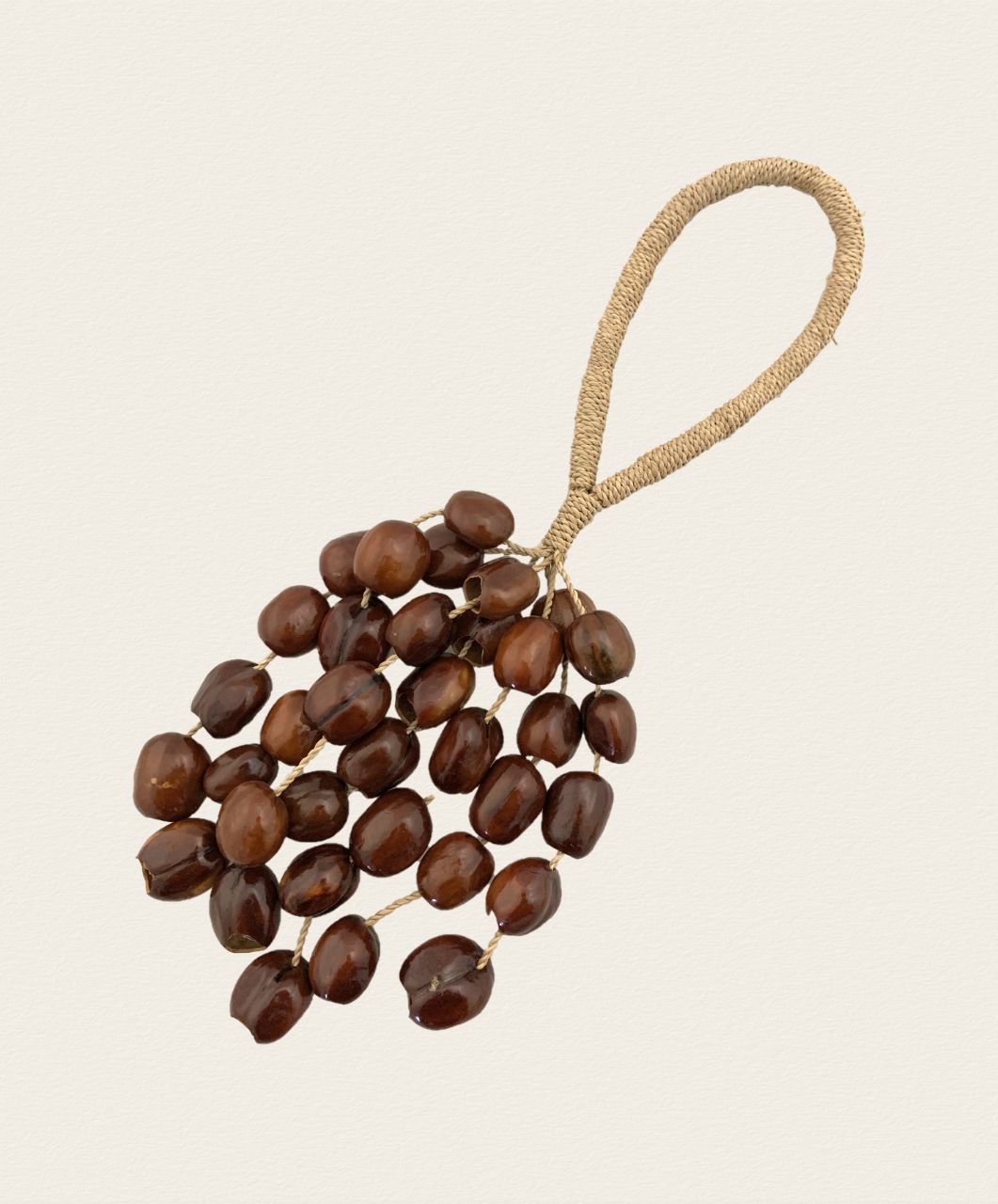 Sonajero de vainas marrón