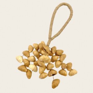 Sonajero de vainas beis